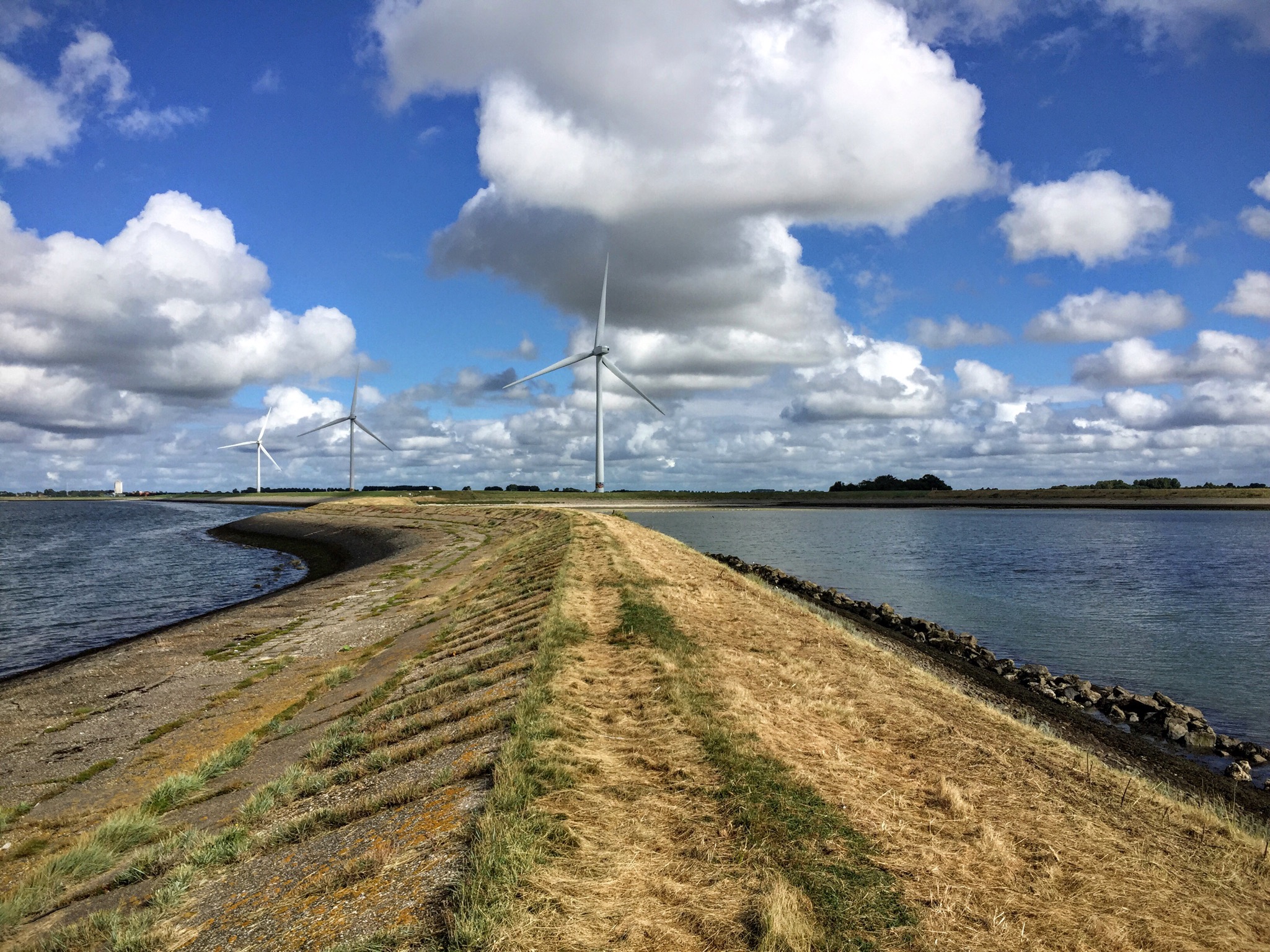 Dijk Zeeland met windmolens