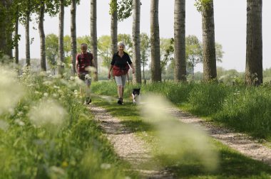 Zwaakse Weel, Borsele, Zak van Zuid-Beveland, Zeeland, Nederland, Europa