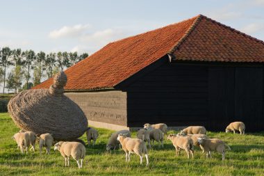 schaapskooi in de Zak