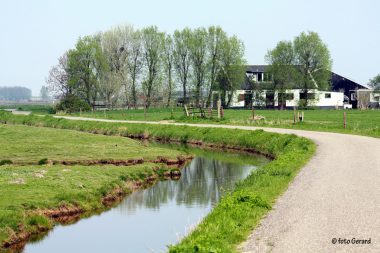 Picknicken in de natuur